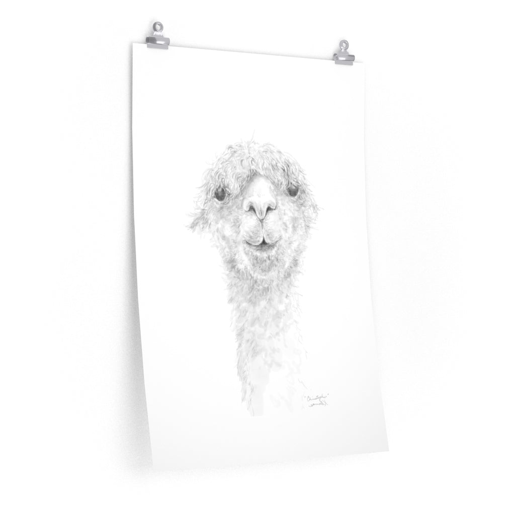 CHRISTOPHER Llama- Art Paper Print