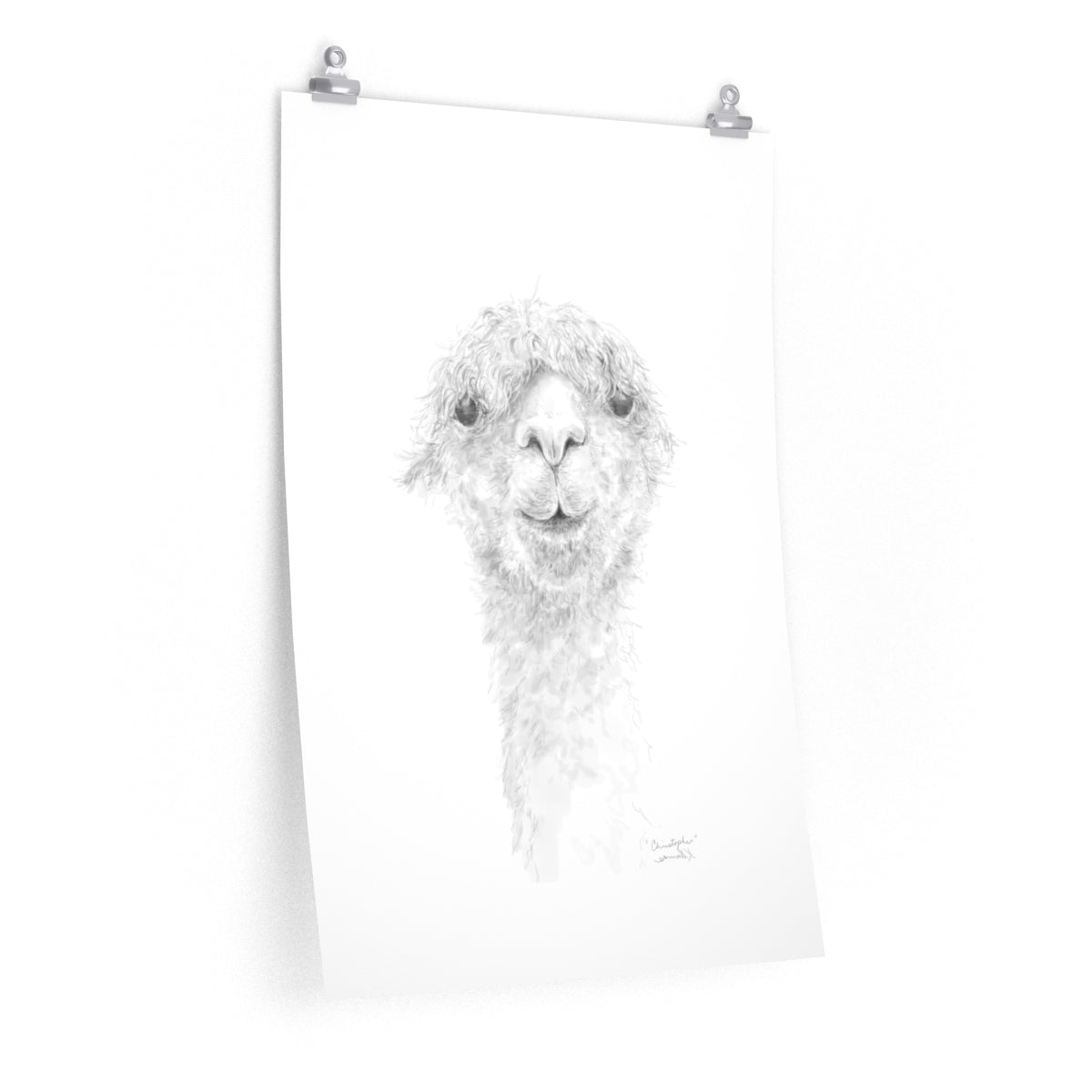 CHRISTOPHER Llama- Art Paper Print