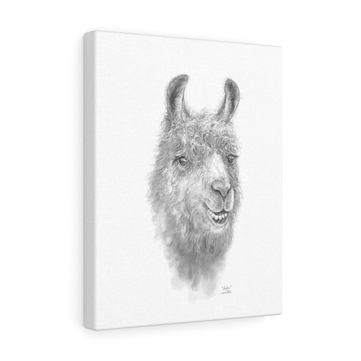 KAYLEE Llama - Art Canvas