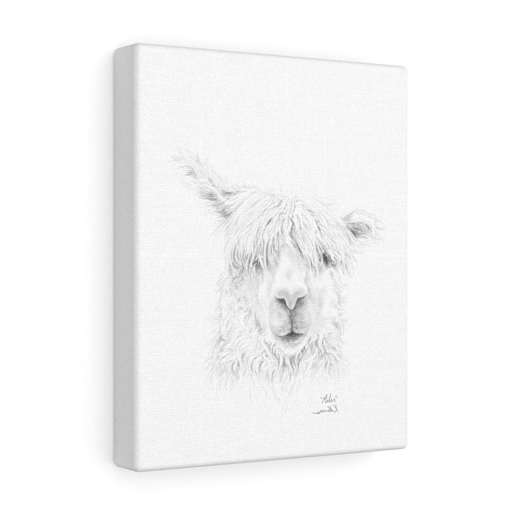MILES Llama - Art Canvas
