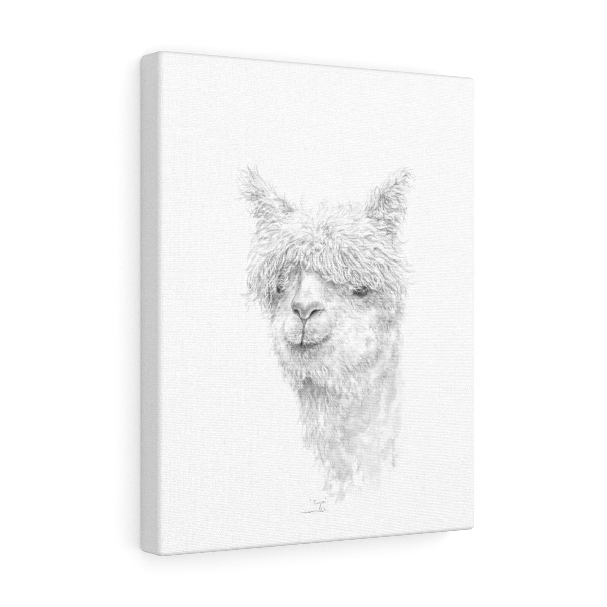 PRIYA Llama - Art Canvas