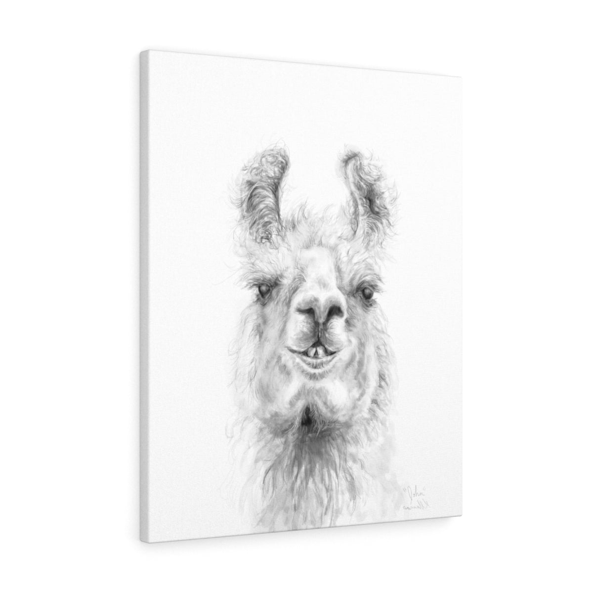 JOHN Llama - Art Canvas