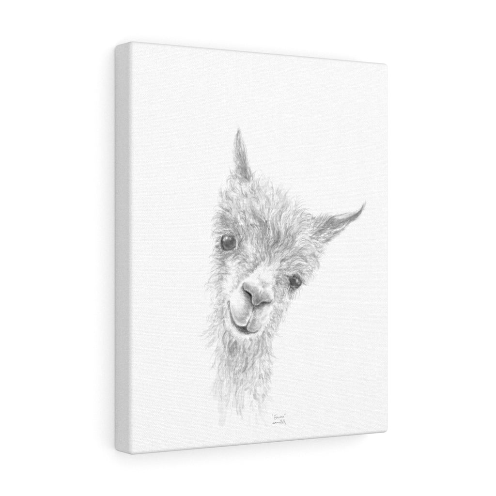 EMMA Llama - Art Canvas