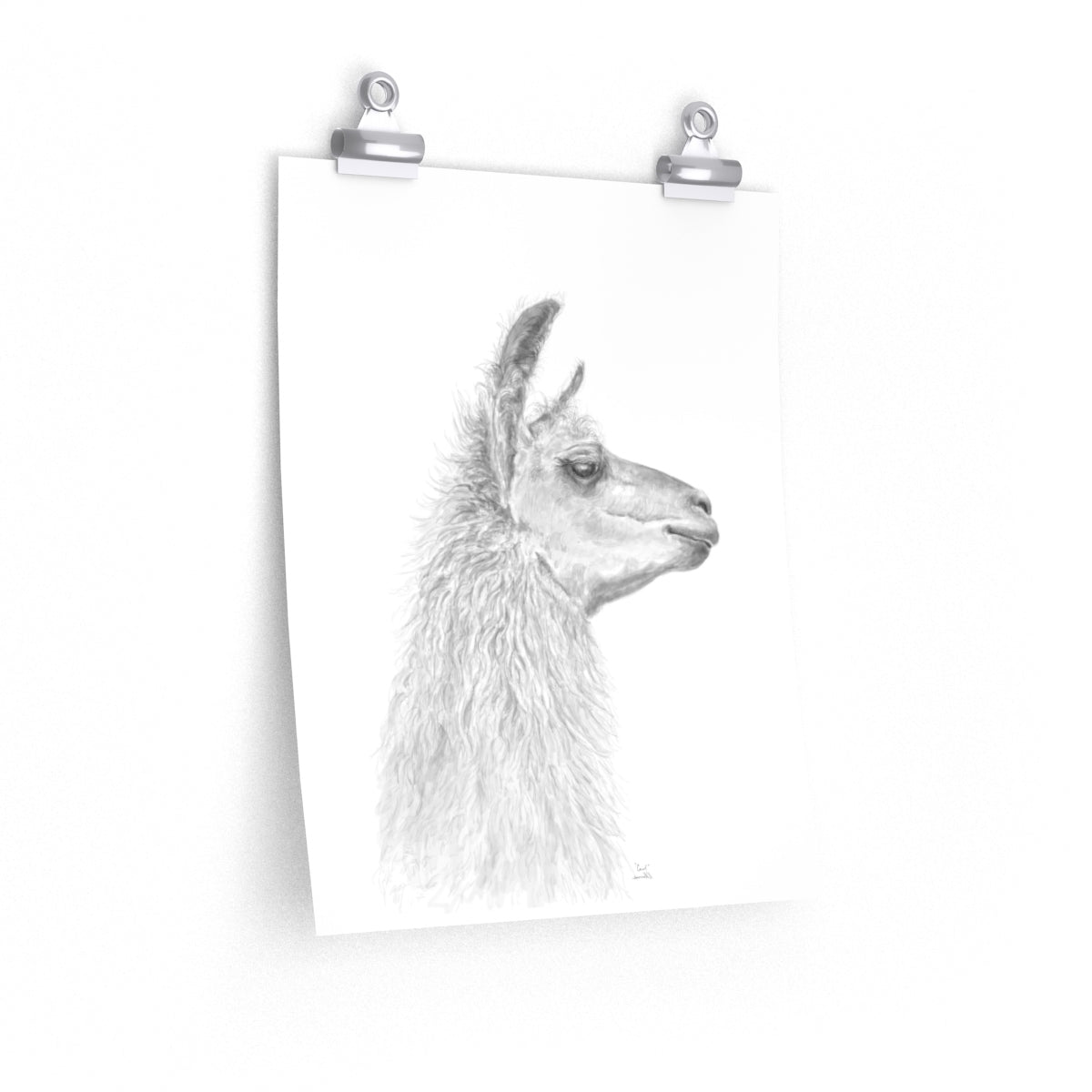 CAROL Llama- Art Paper Print