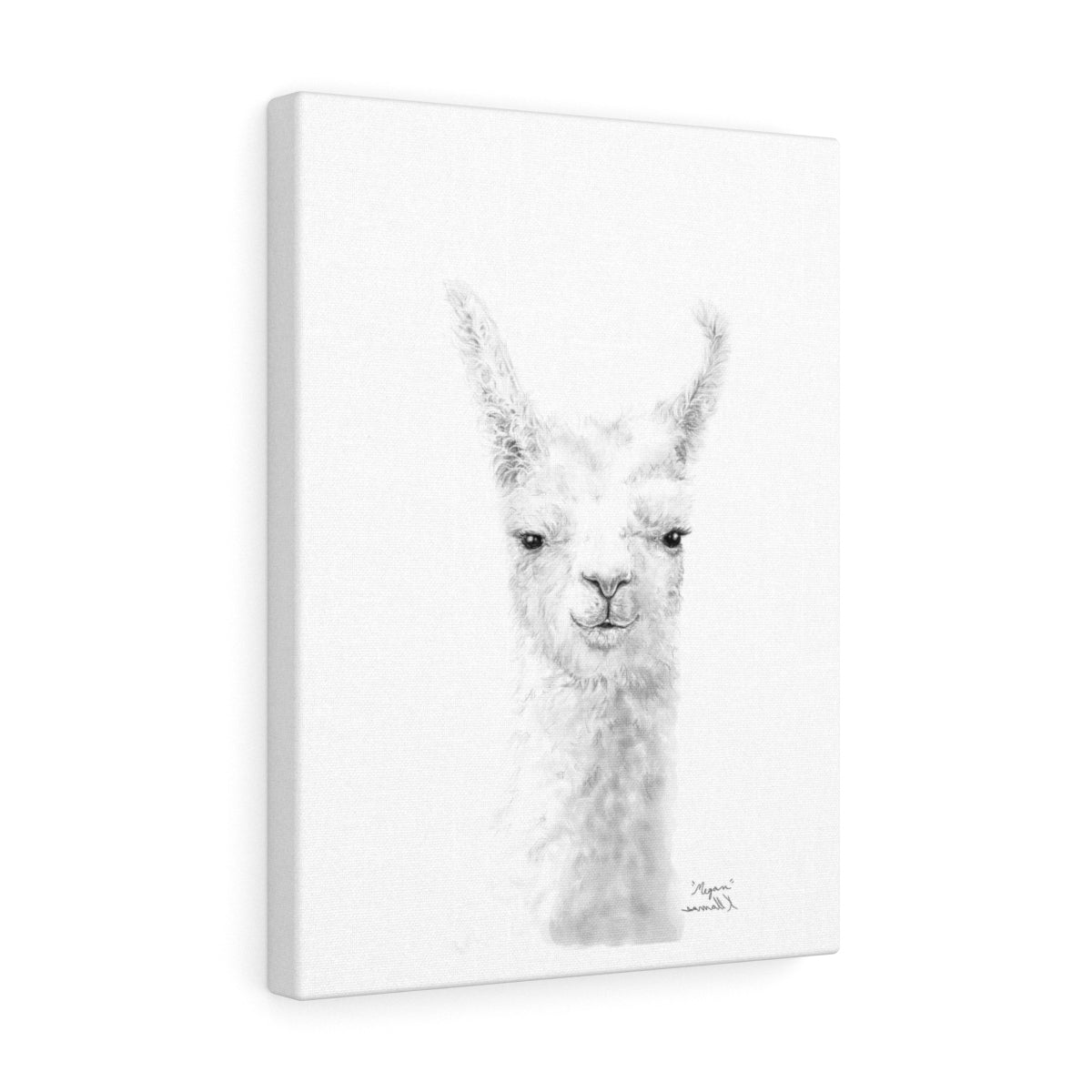 MEGAN Llama - Art Canvas