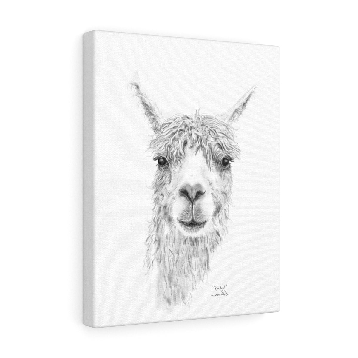 RACHEL Llama - Art Canvas