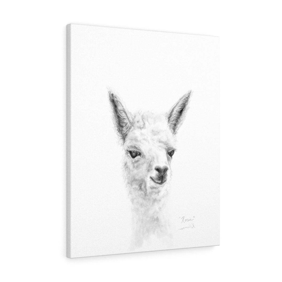 ROSIE Llama - Art Canvas