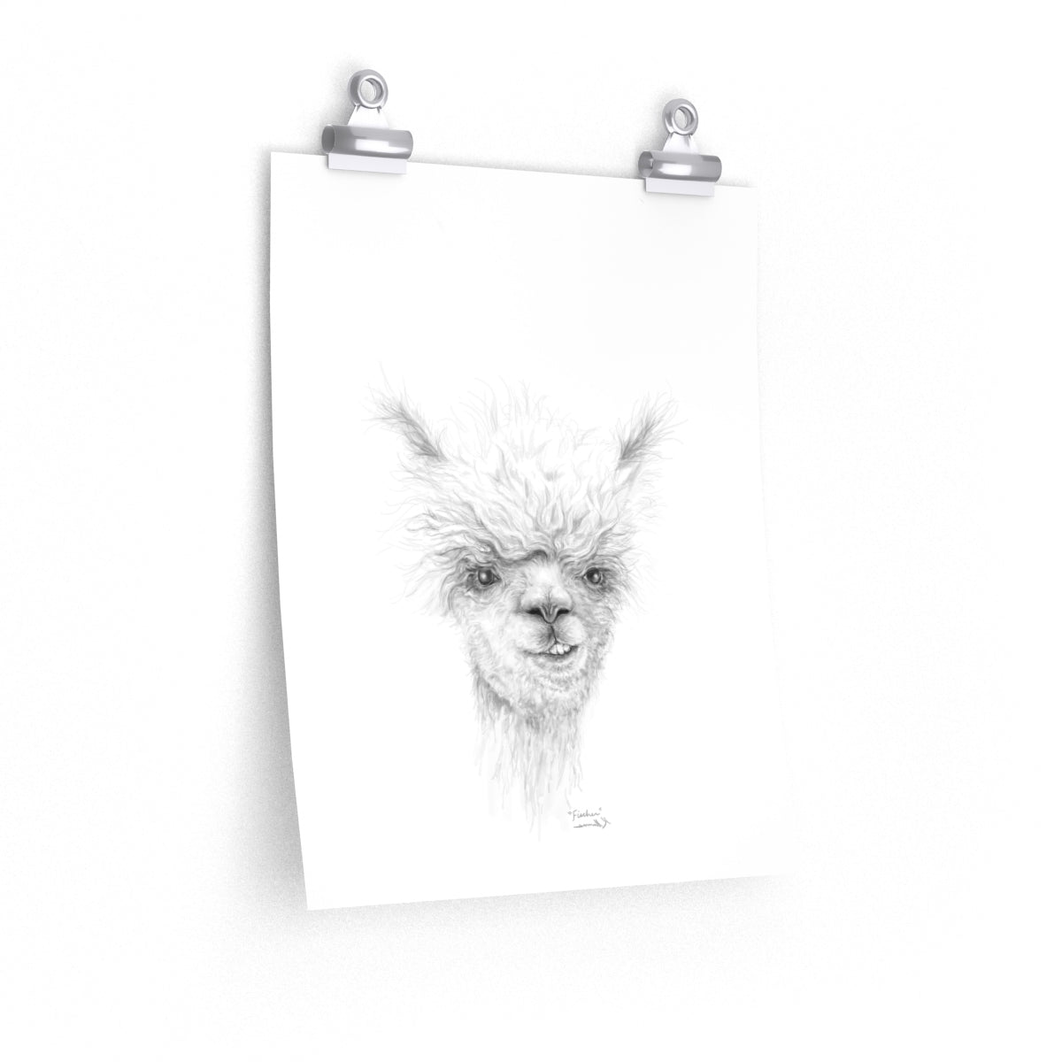FISCHER Llama- Art Paper Print