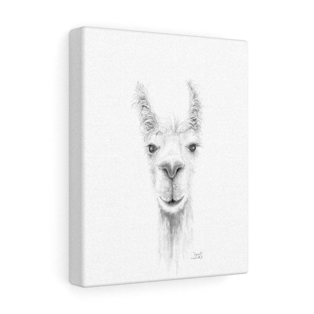 IZAIAH Llama - Art Canvas