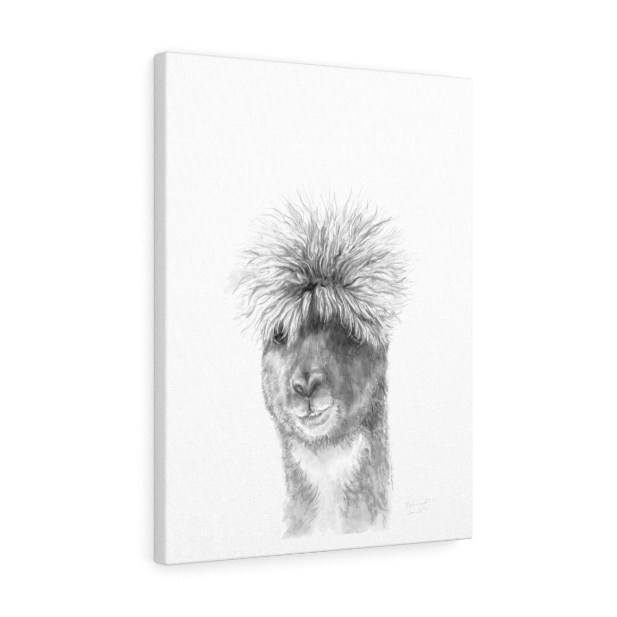 RICHMOND Llama - Art Canvas