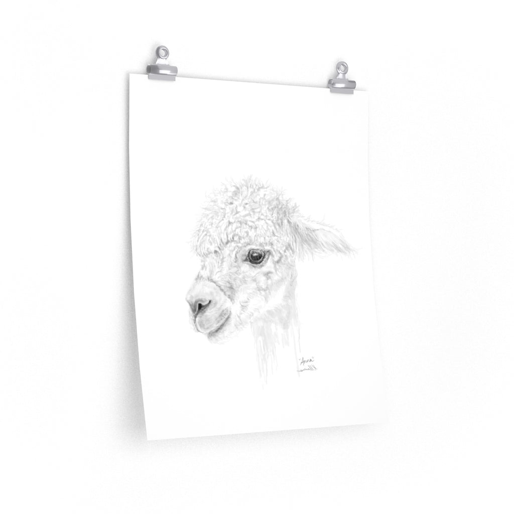 ANNA Llama- Art Paper Print