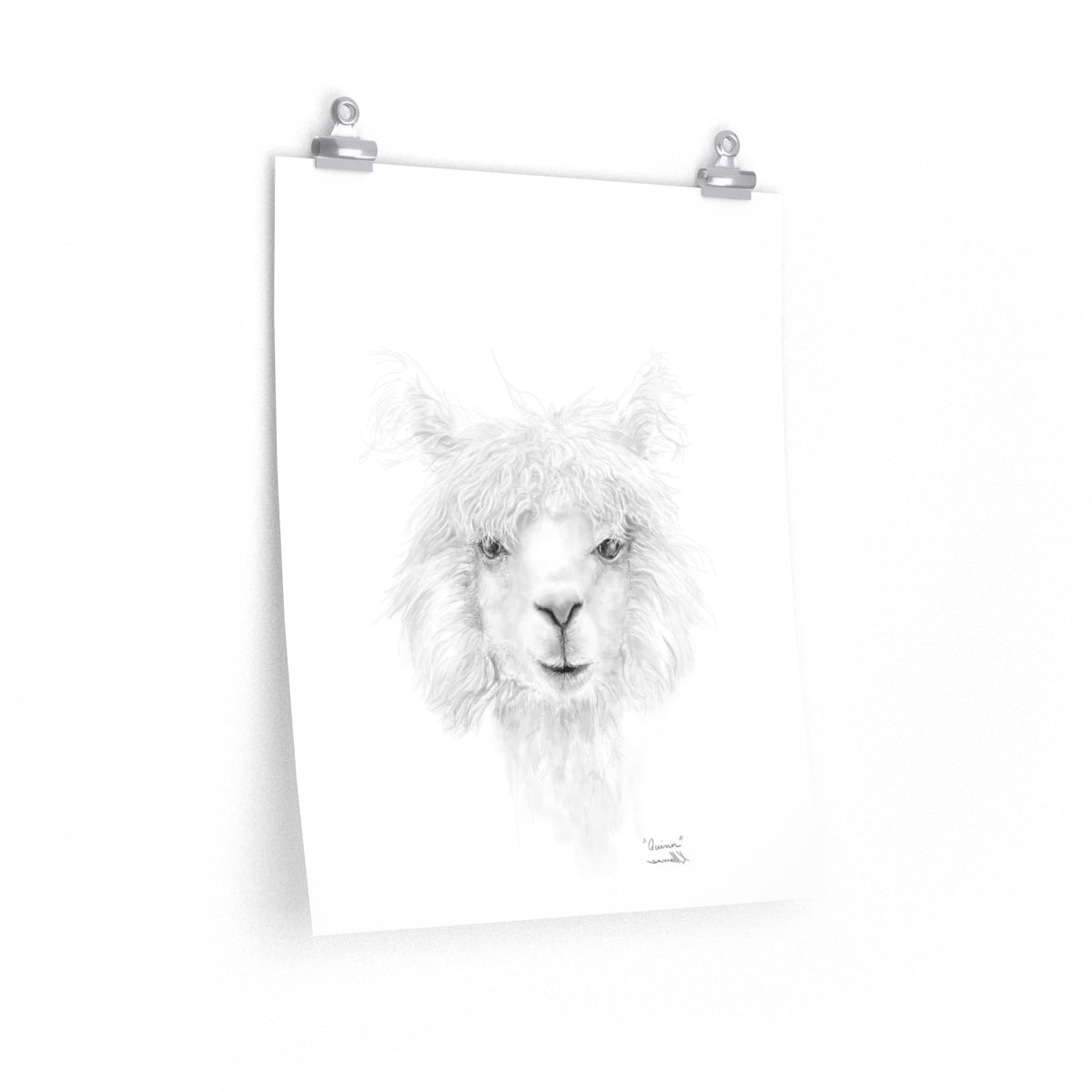QUINN Llama- Art Paper Print