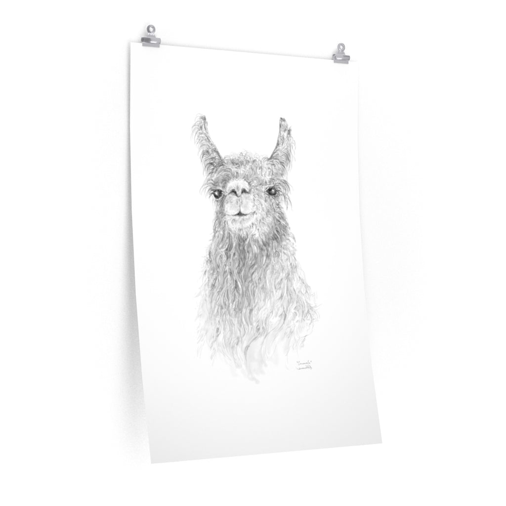 CONSWALA Llama- Art Paper Print