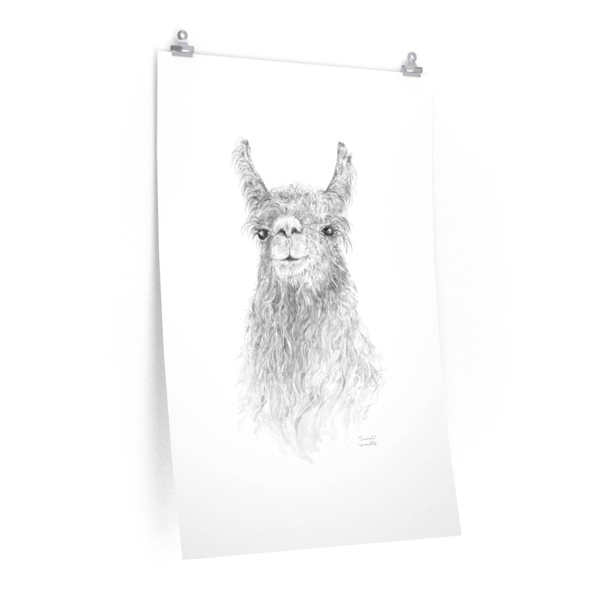 CONSWALA Llama- Art Paper Print