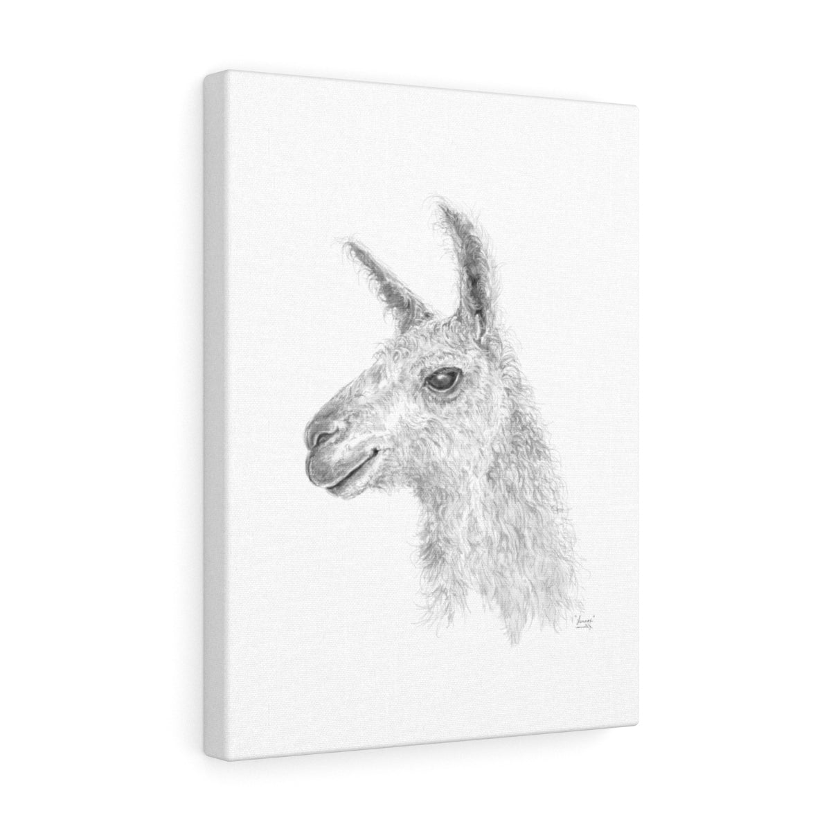 LENNOX Llama - Art Canvas