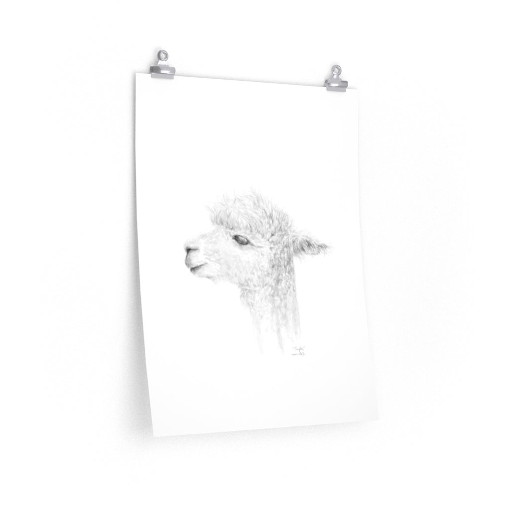TAYLOR Llama- Art Paper Print