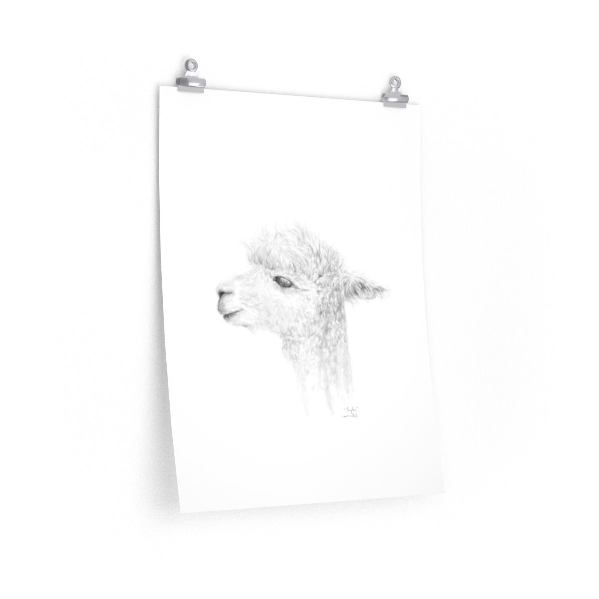 TAYLOR Llama- Art Paper Print