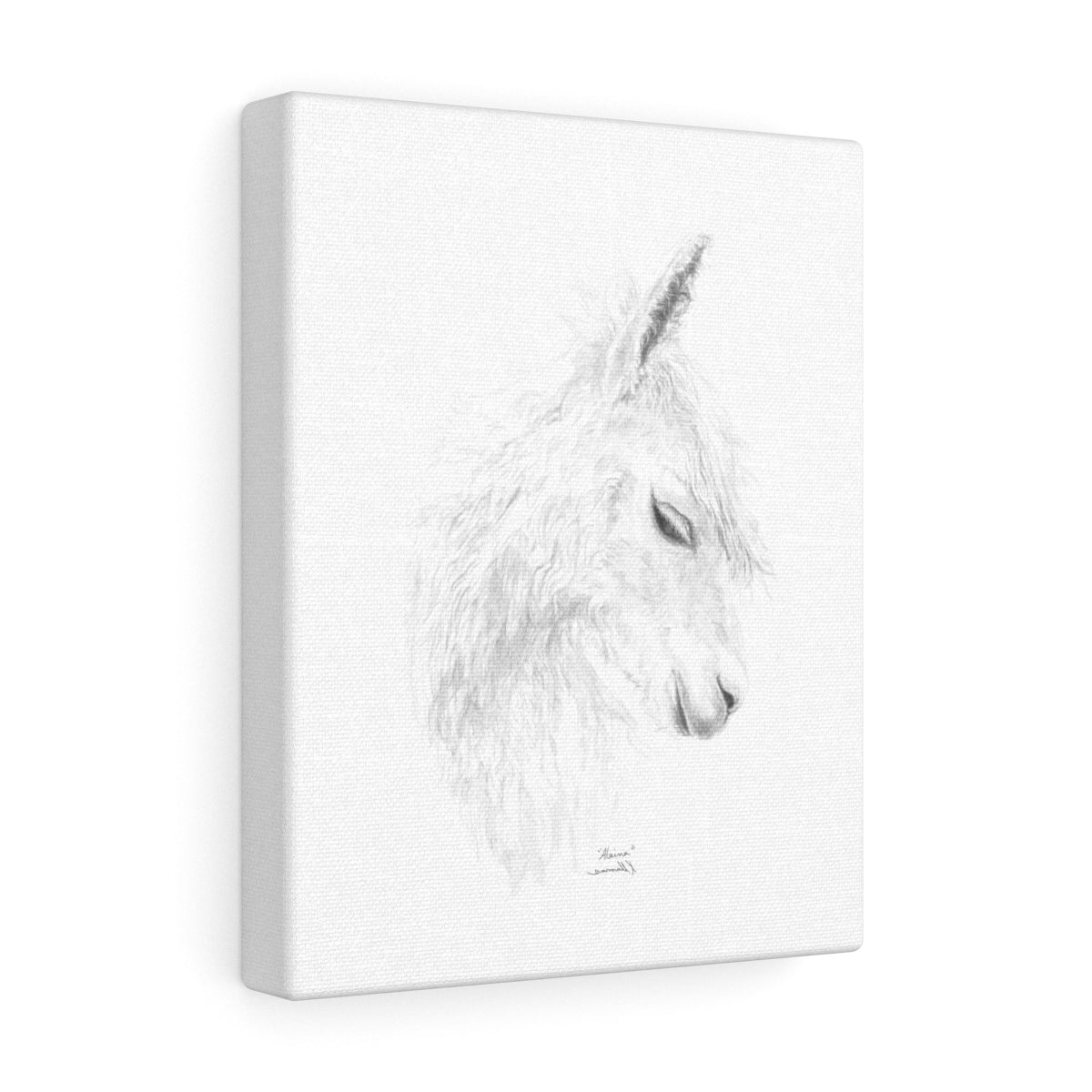 ALAINA Llama - Art Canvas