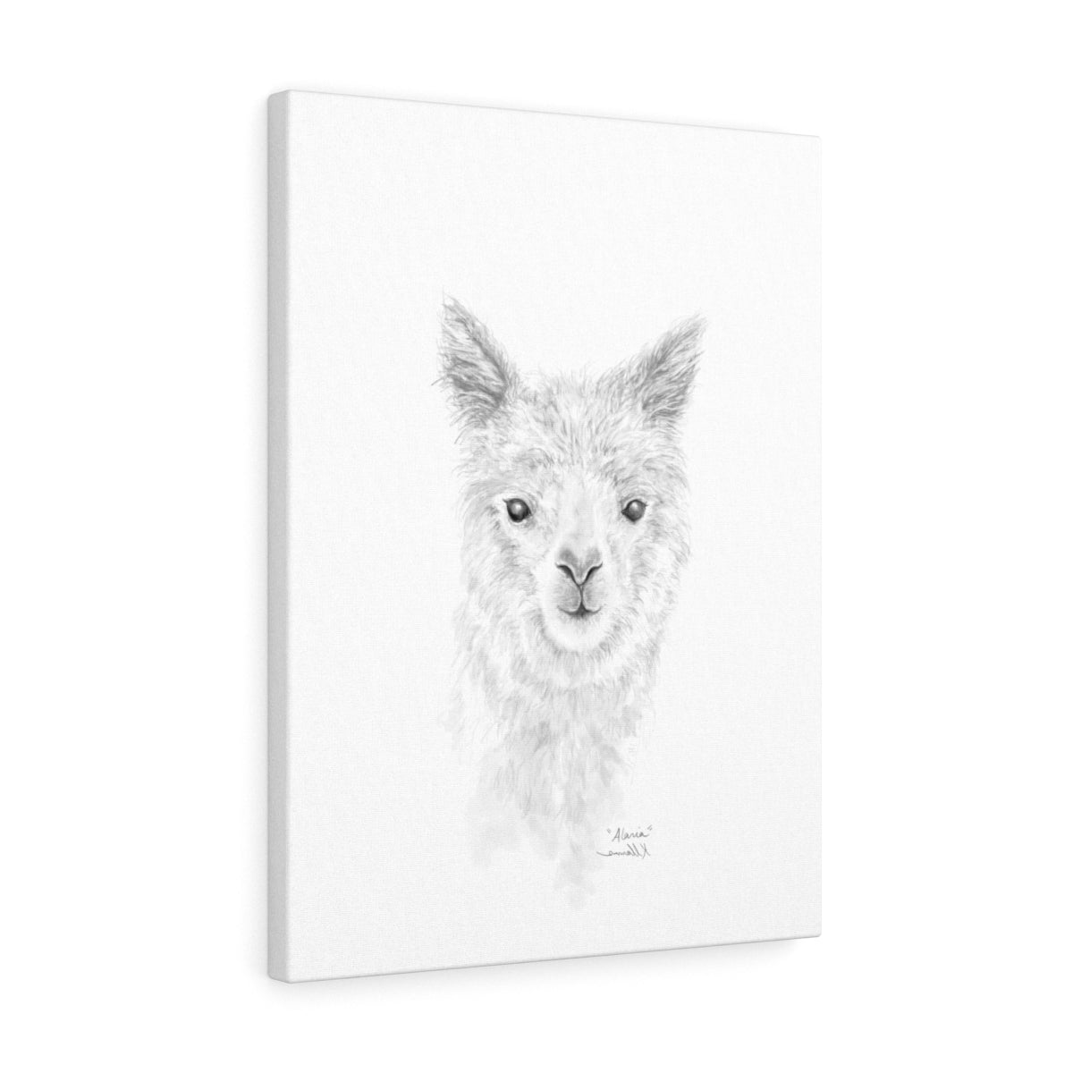 ALARIA Llama- Art Canvas