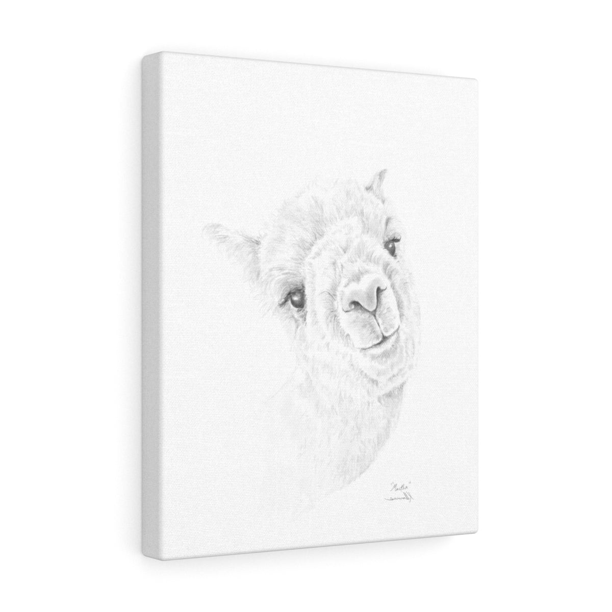 MARTHA Llama - Art Canvas