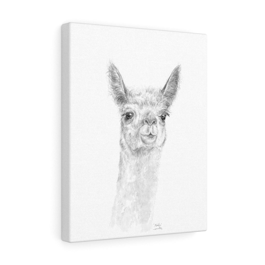 MADDIE Llama - Art Canvas