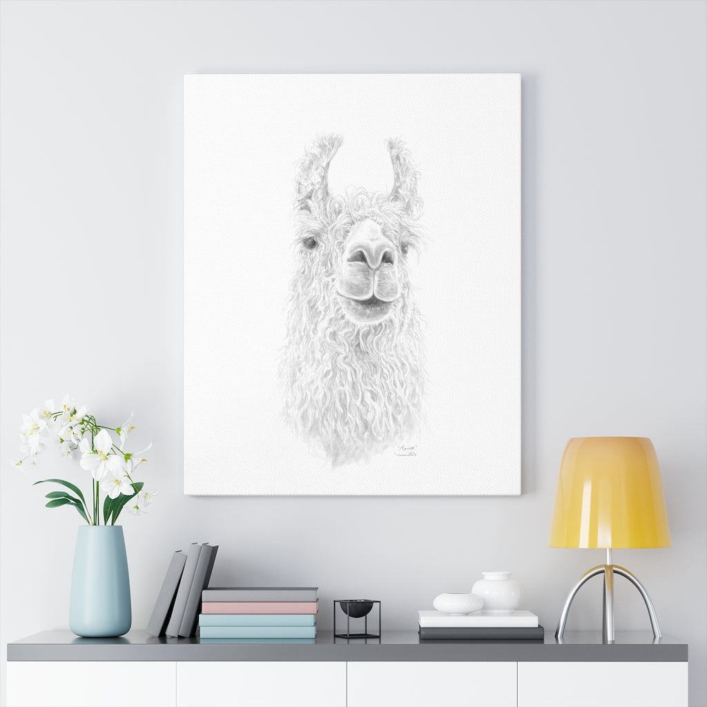 MARISA Llama - Art Canvas