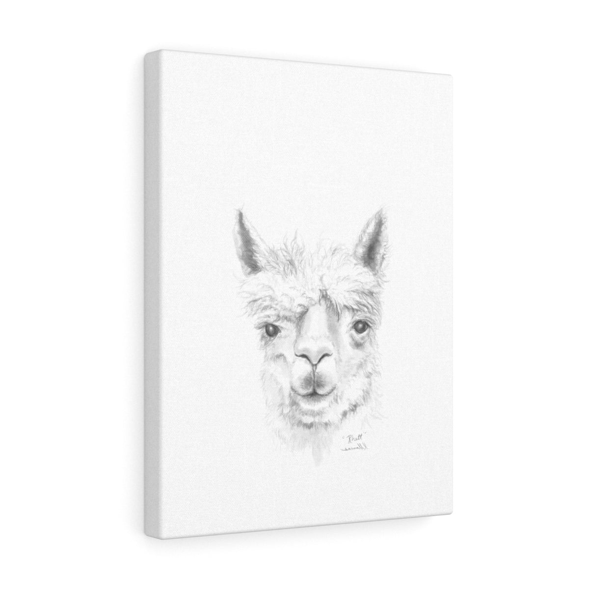 RHETT Llama - Art Canvas