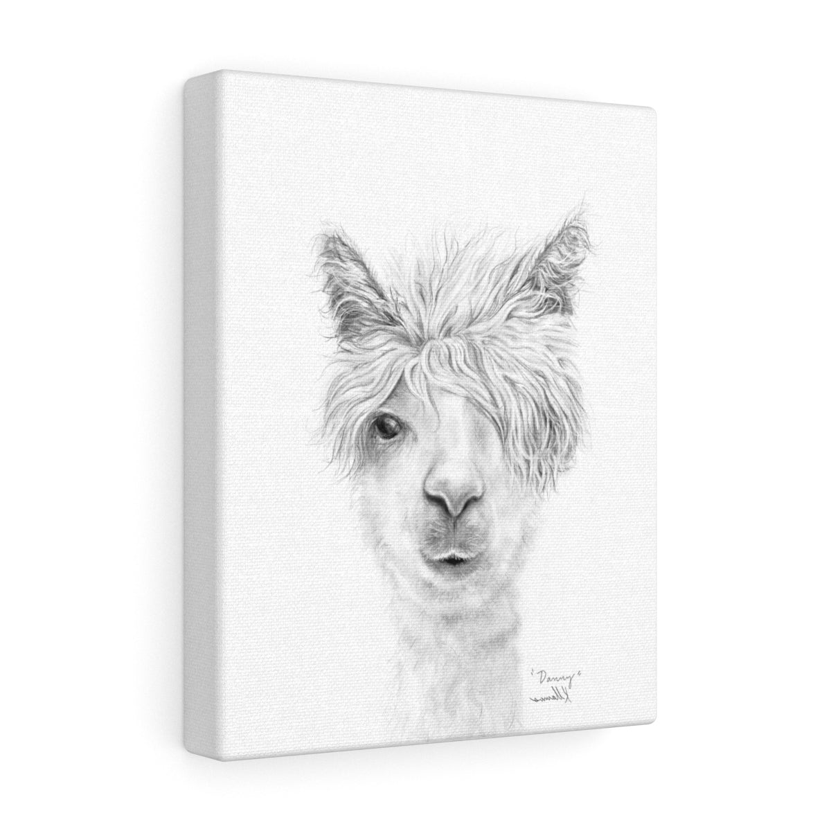 DANNY Llama - Art Canvas