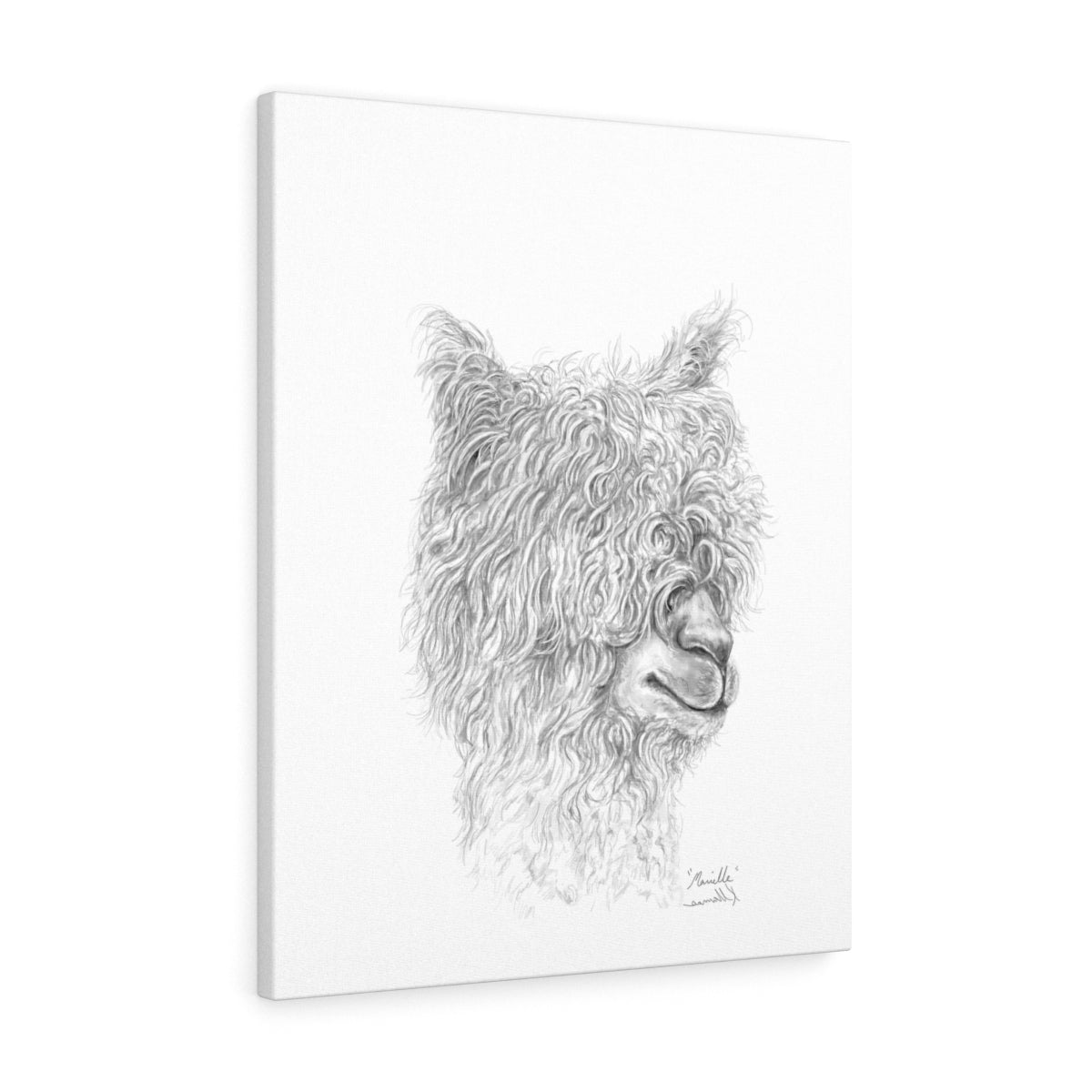 MARIELLE Llama - Art Canvas