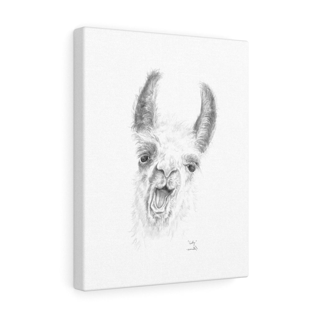 Gabby Llama - Art Canvas