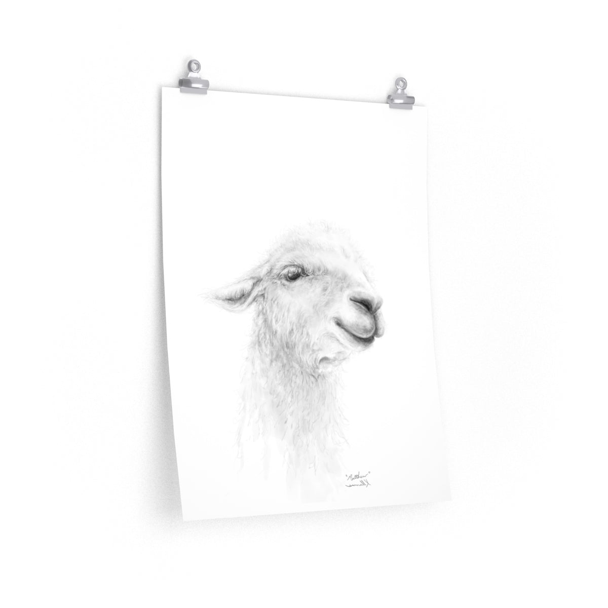 MATTHEW Llama- Art Paper Print