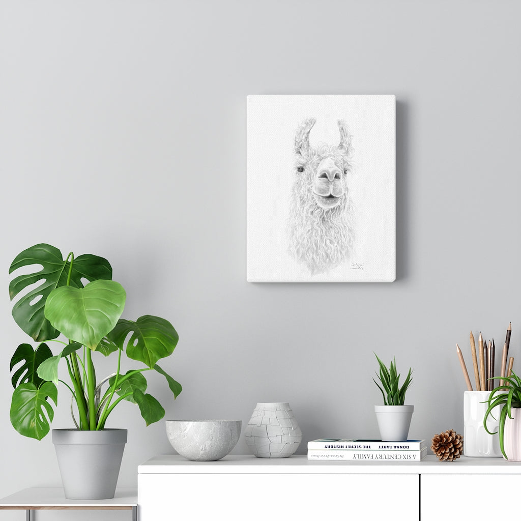 SABRINA Llama - Art Canvas