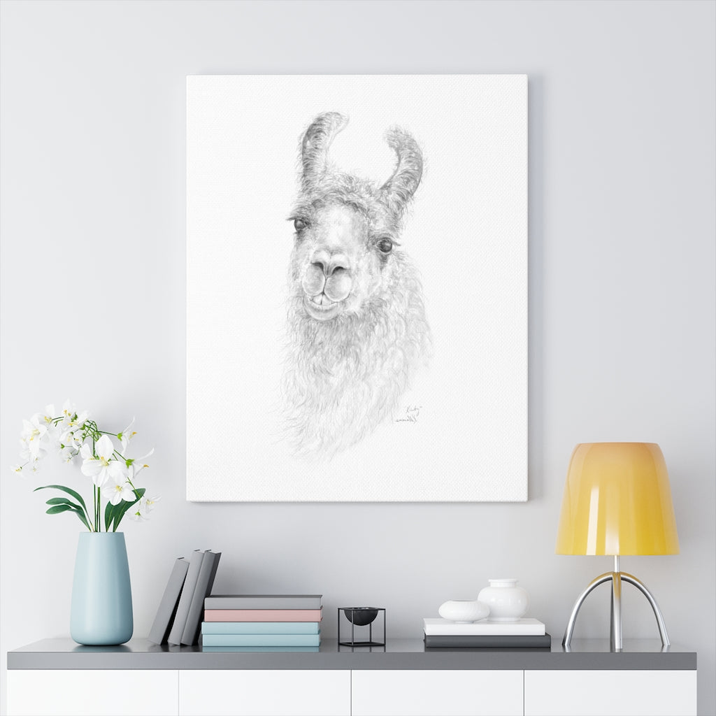 KIRBY Llama - Art Canvas