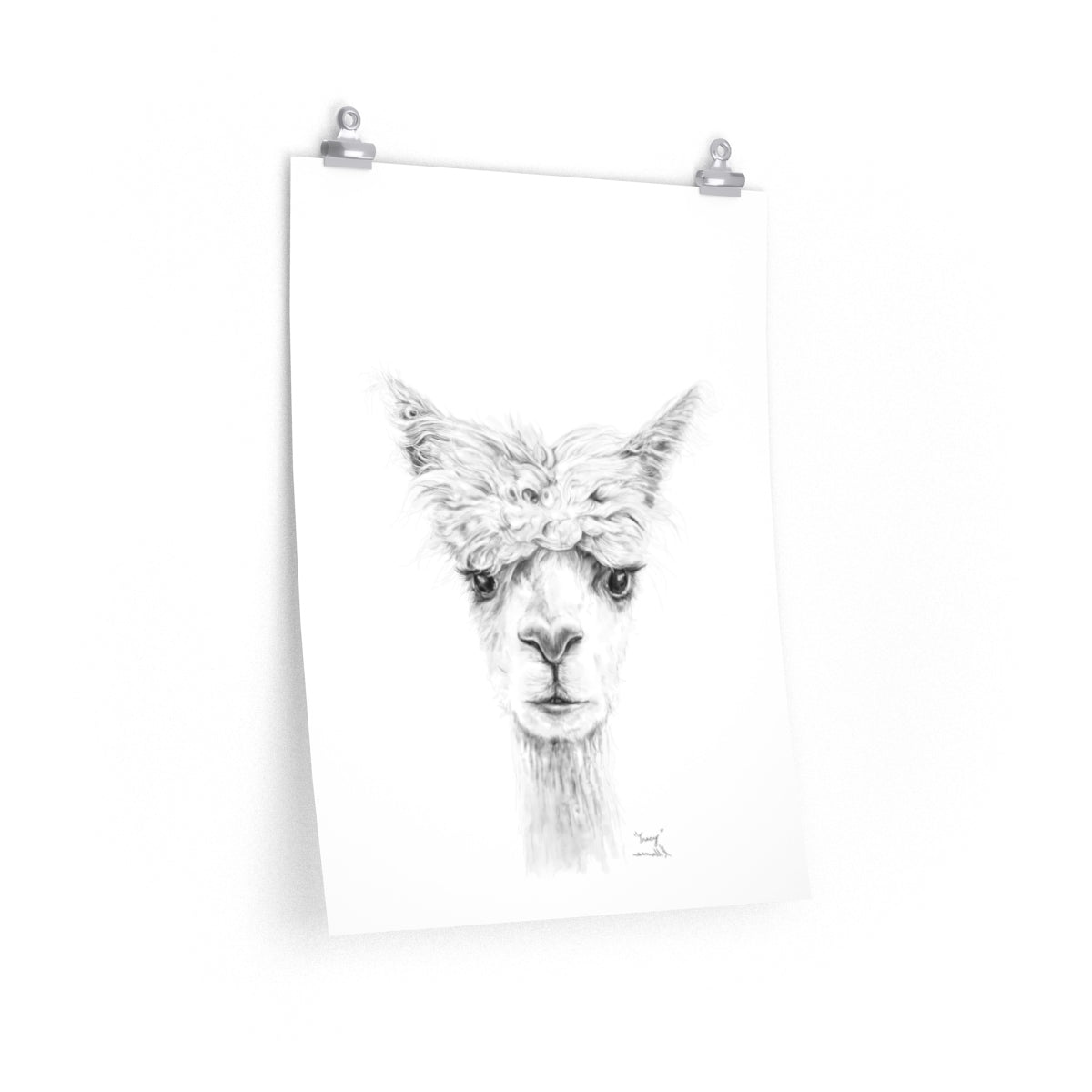 TRACY Llama- Art Paper Print