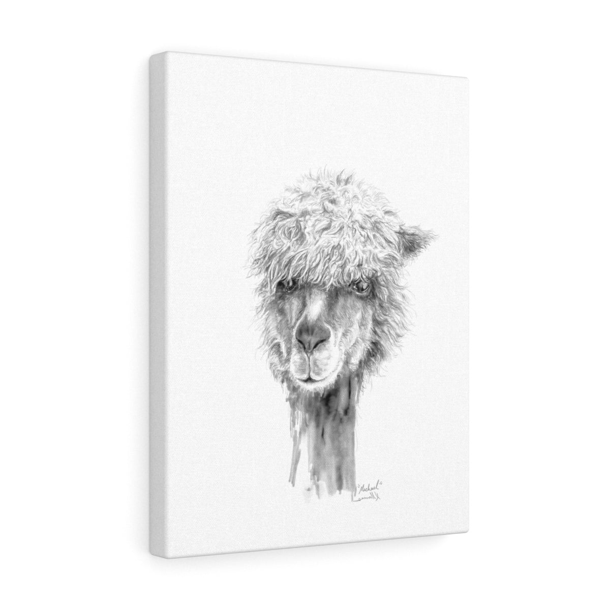 MICHAEL Llama - Art Canvas