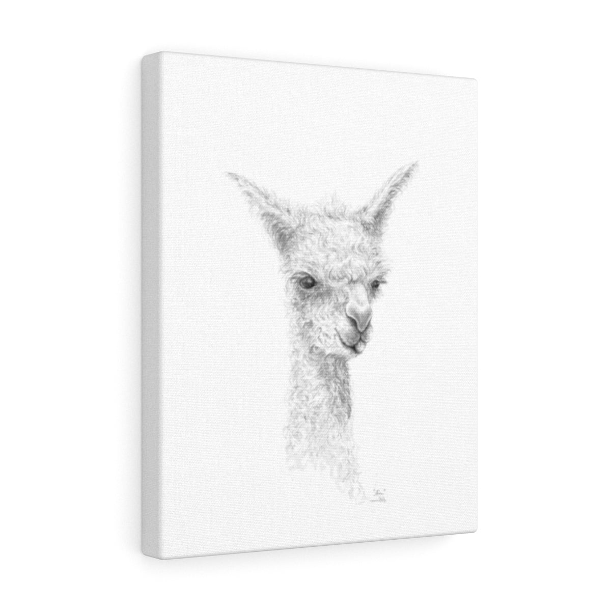 ALICE Llama - Art Canvas