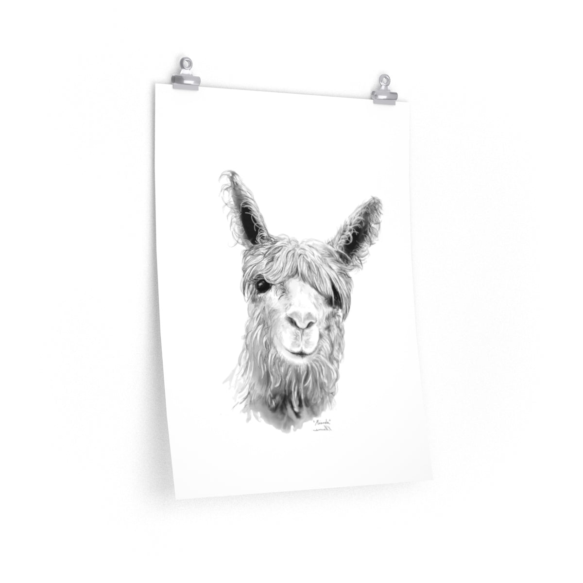 MIRANDA Llama- Art Paper Print