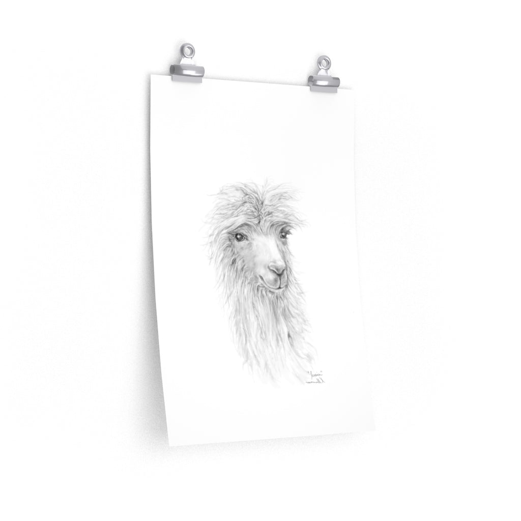 JESSICA Llama- Art Paper Print