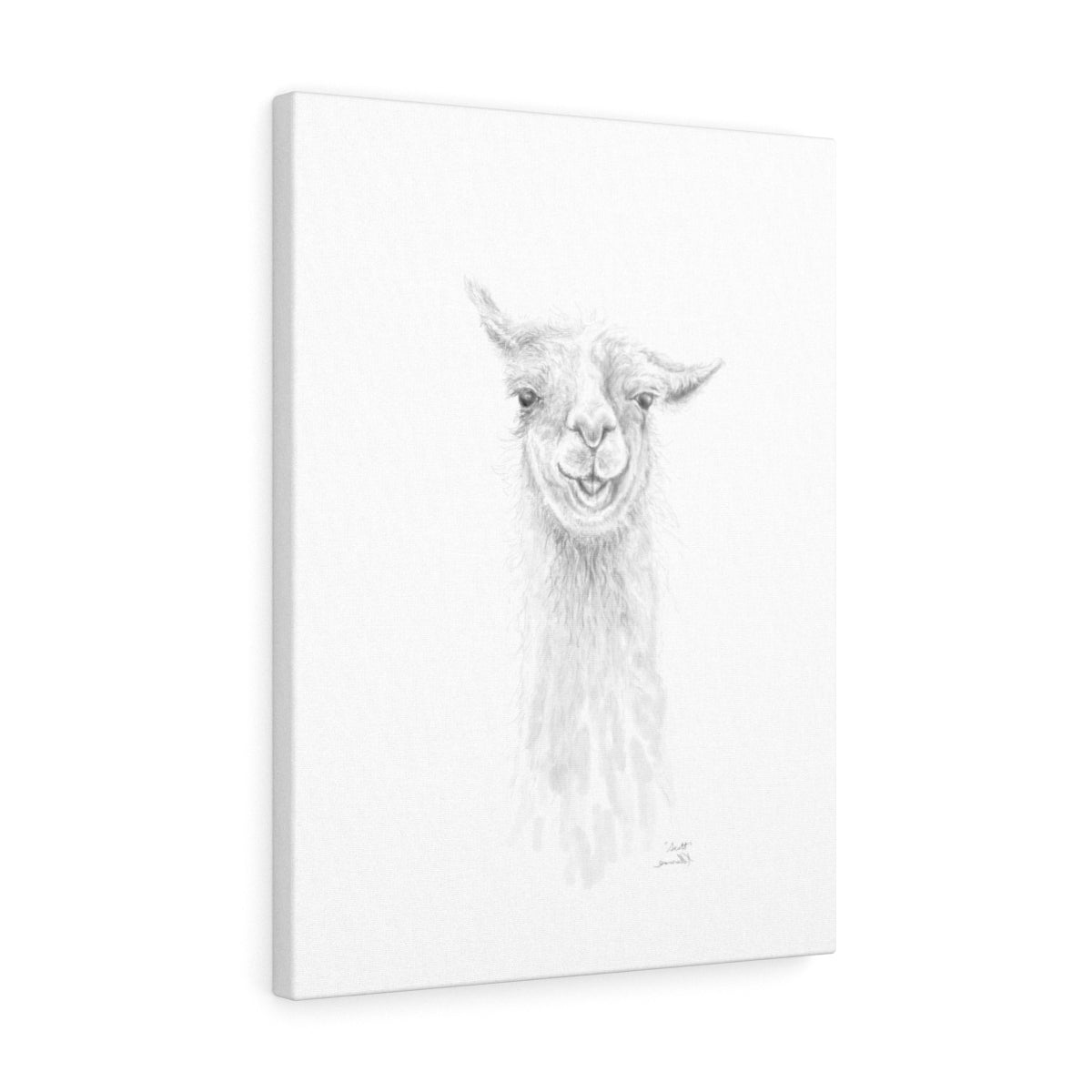 SCOTT Llama - Art Canvas
