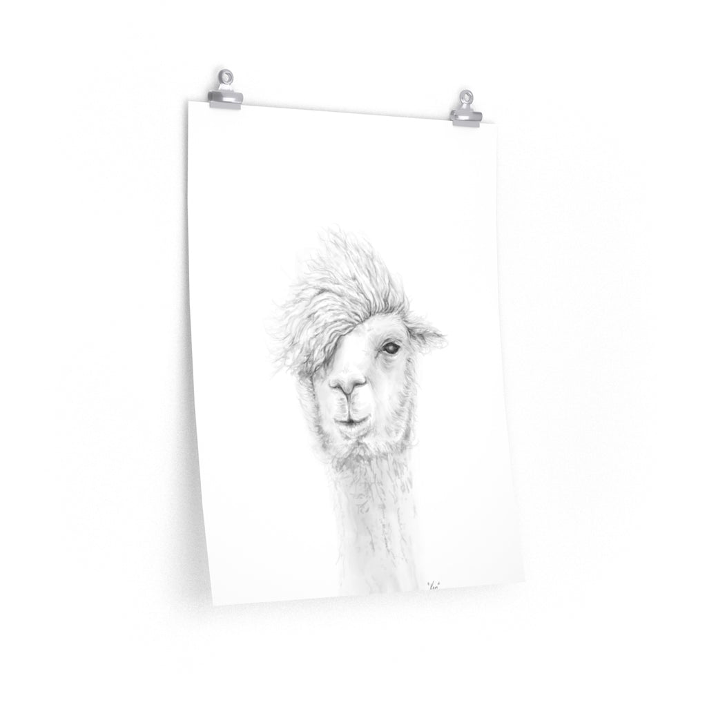 KEN Llama- Art Paper Print