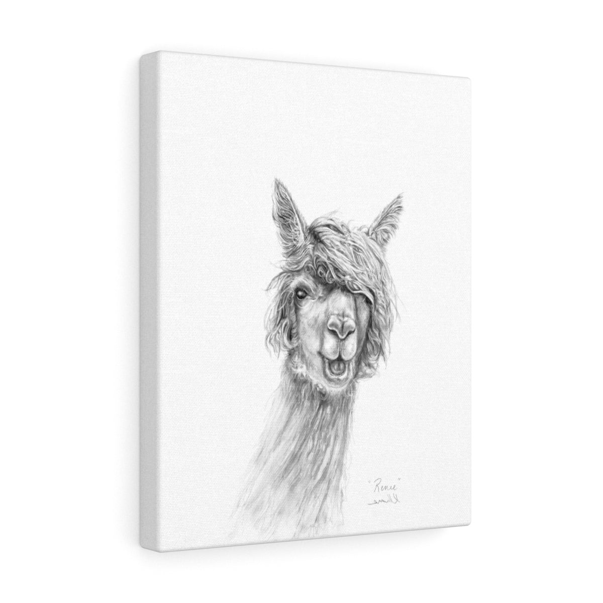 RENEE Llama - Art Canvas