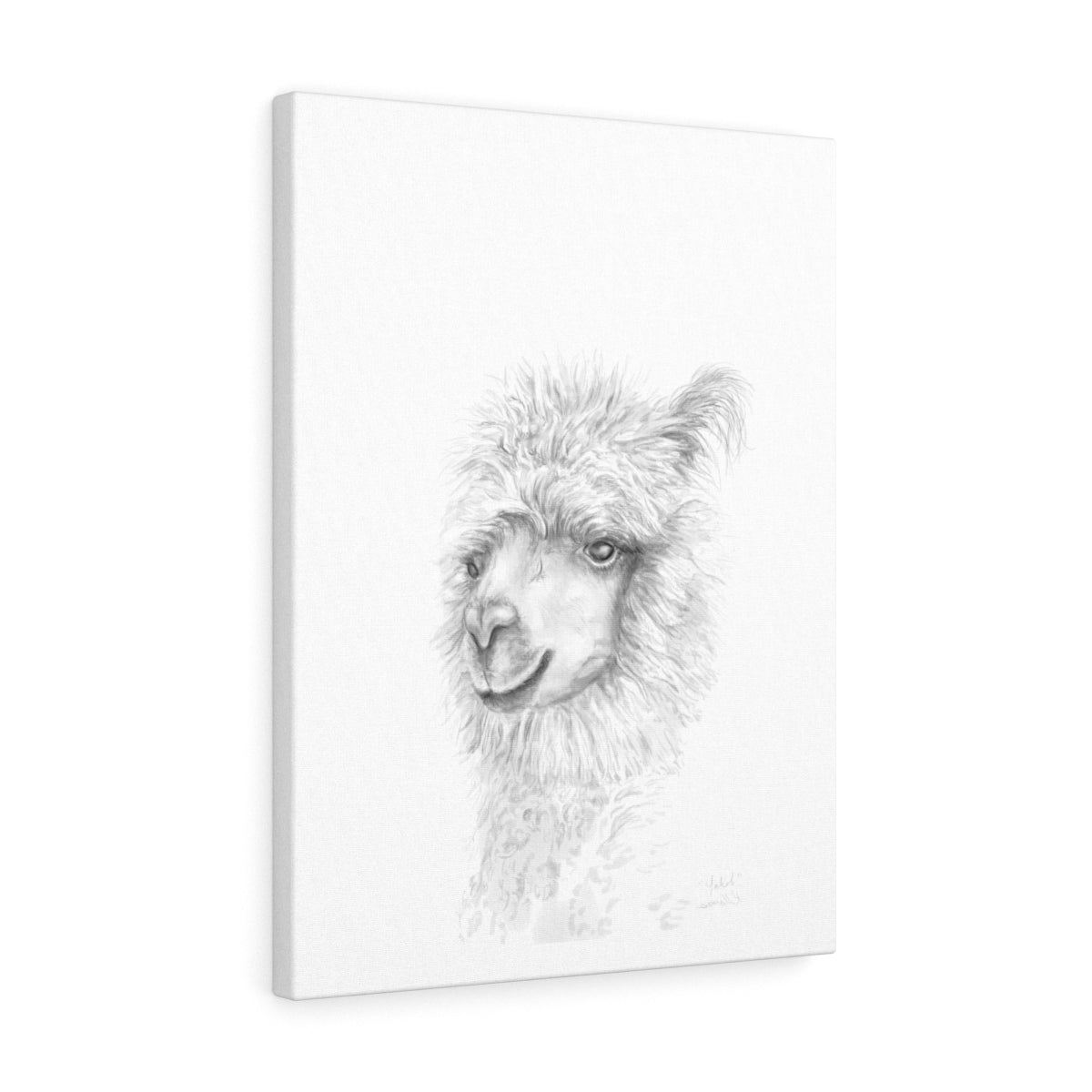 YAKOB Llama - Art Canvas