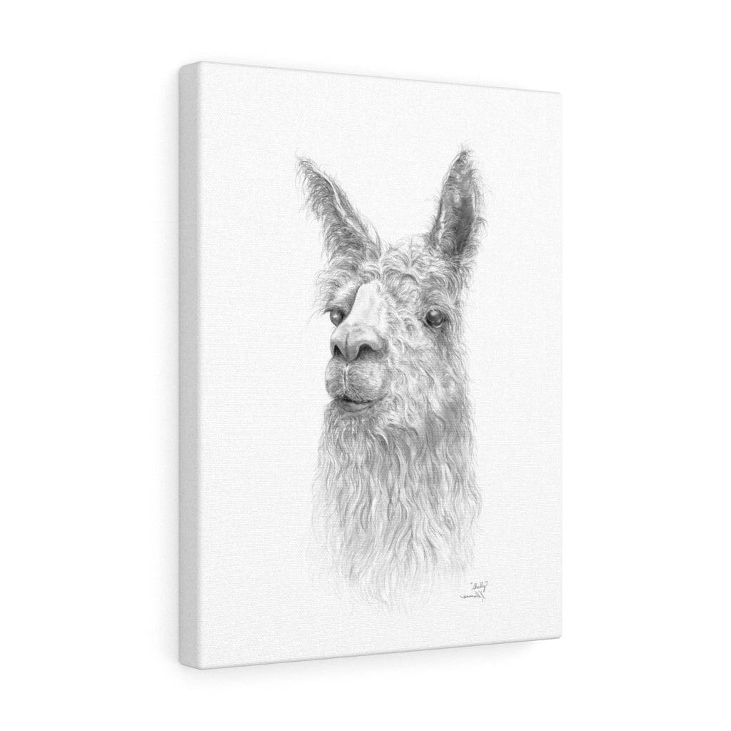 Shelly Llama- Art Canvas