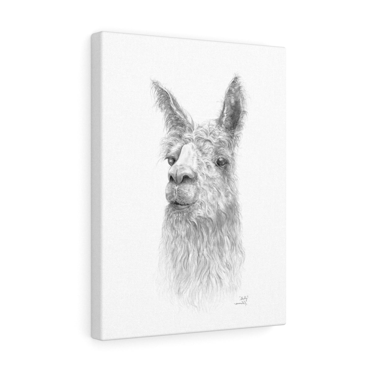 Shelly Llama- Art Canvas