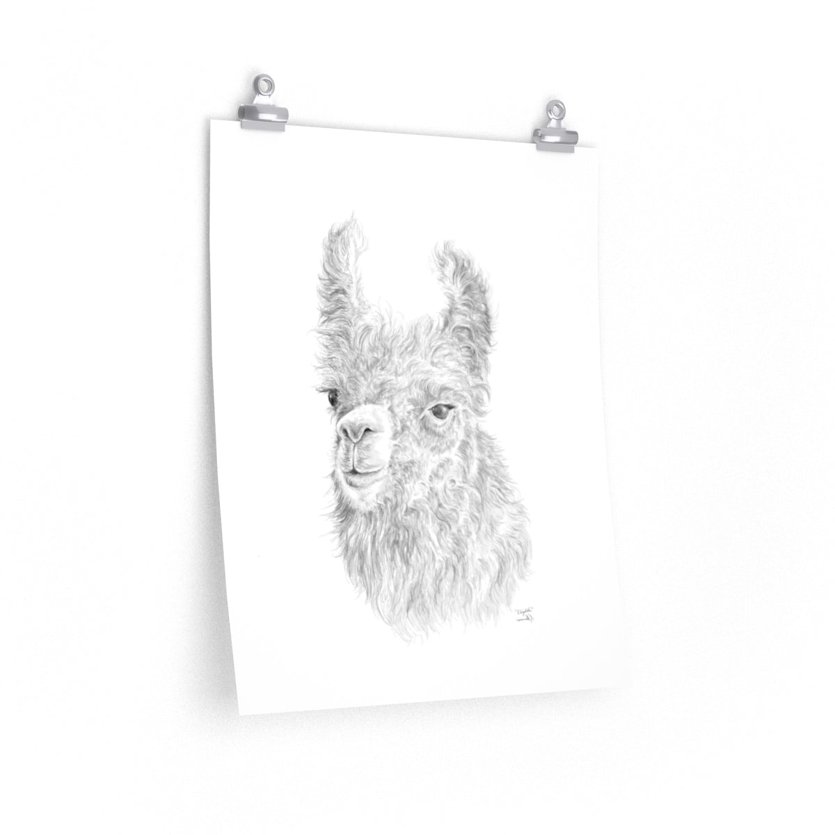 Elizabeth Llama- Art Paper Print