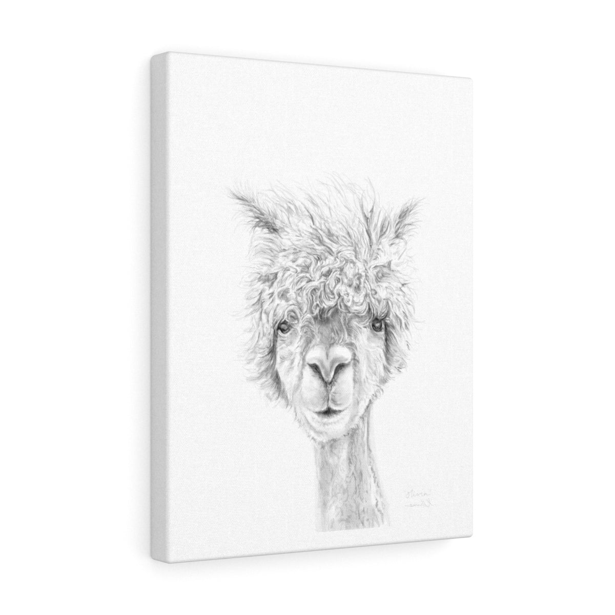 OLIVIA Llama - Art Canvas
