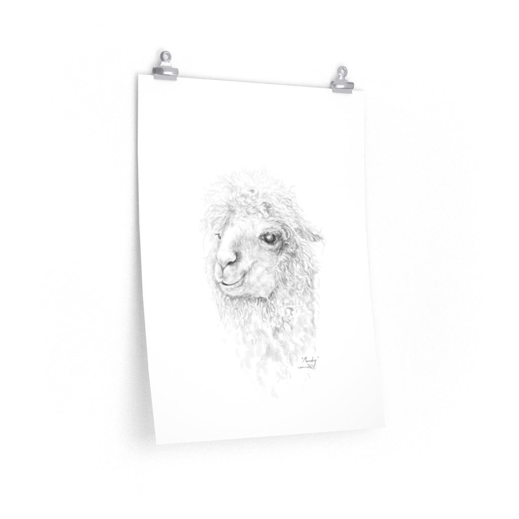MANDY Llama- Art Paper Print