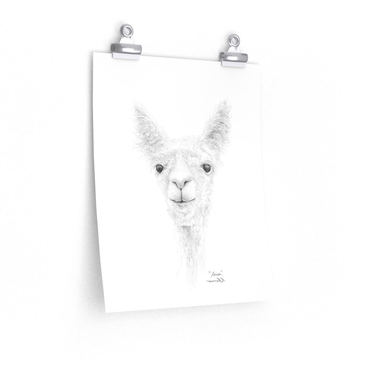 ANISA Llama- Art Paper Print