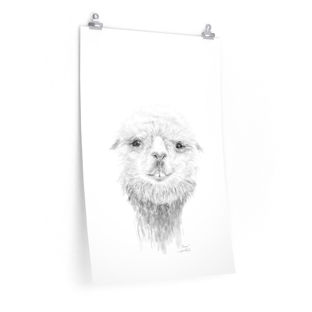 DREW Llama- Art Paper Print