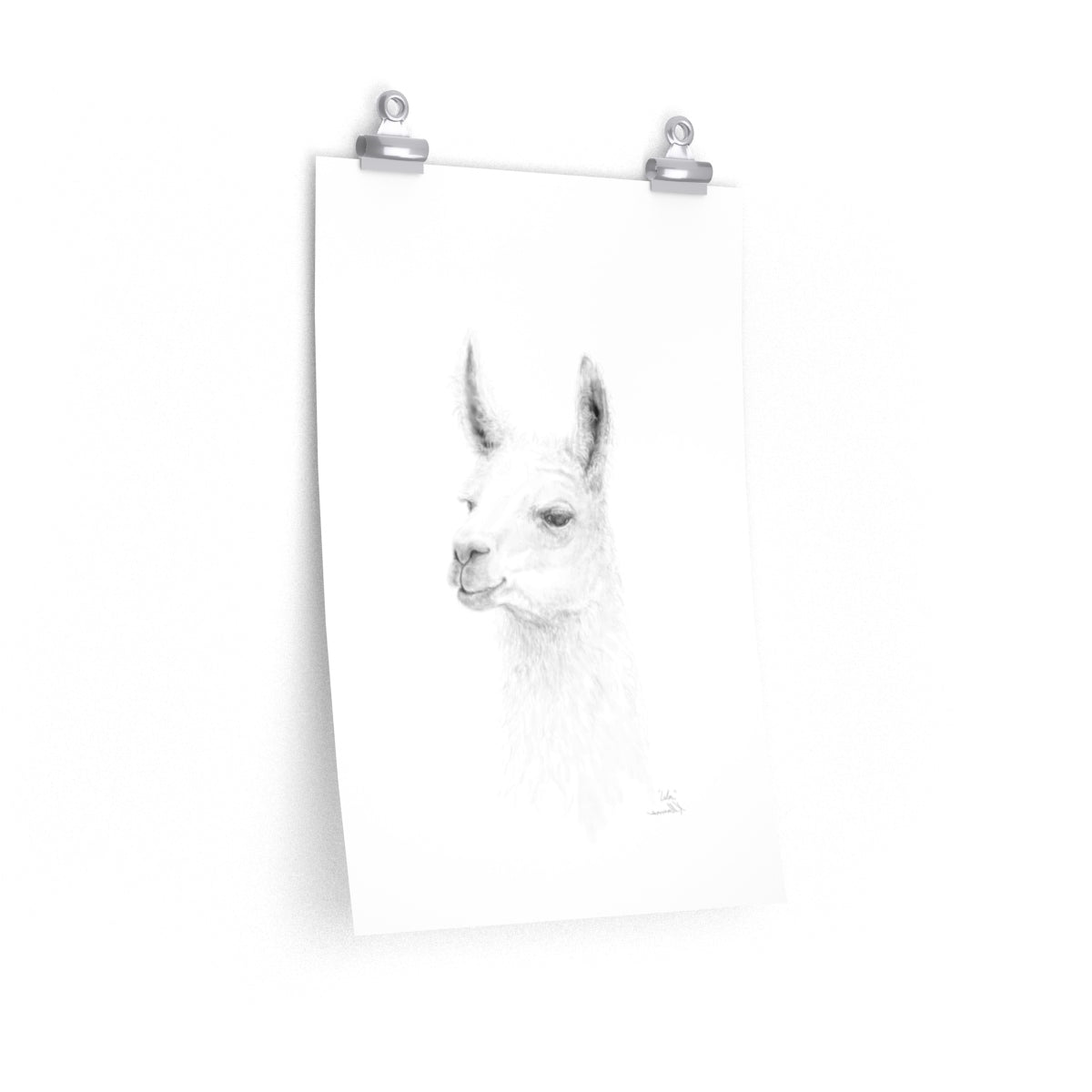 ISLA Llama- Art Paper Print